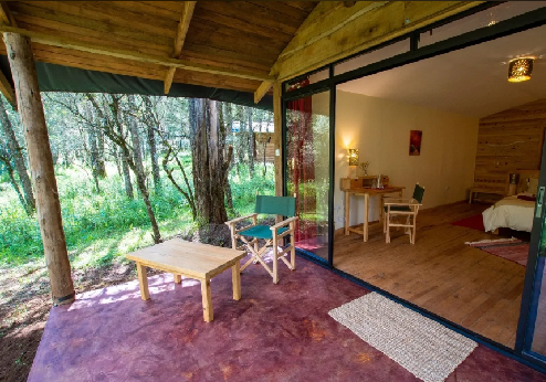 Cedar Retreat, terras