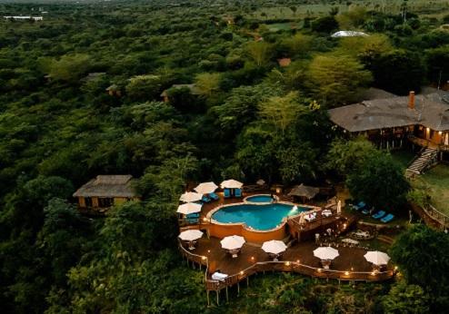 Escarpment Luxury Lodge, omgeving