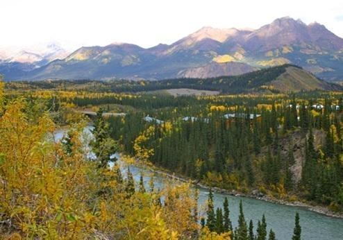 Grizzly Bear Resort, omgeving