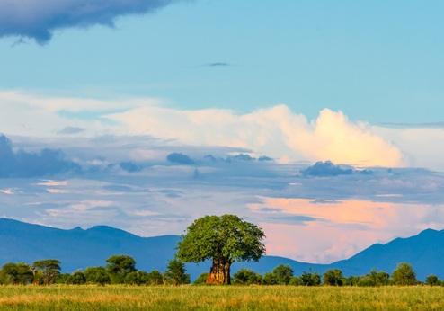 Tarangire Nationaal Park