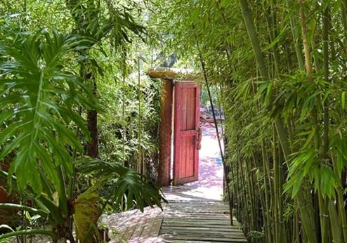 Bamboo Guest House, tuin