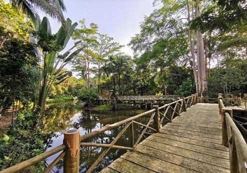 Sepilok Jungle Resort, tuin