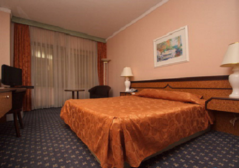 Ak Altyn Hotel, kamer 