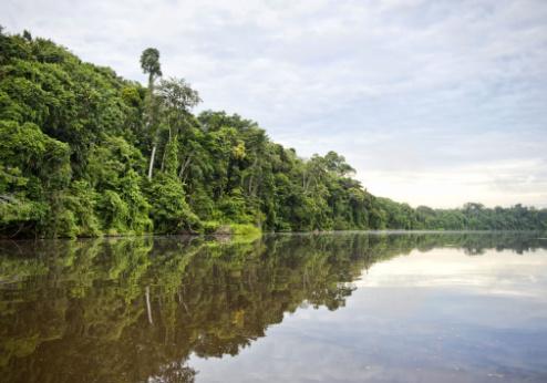 Tambopata Nationaal Reservaat