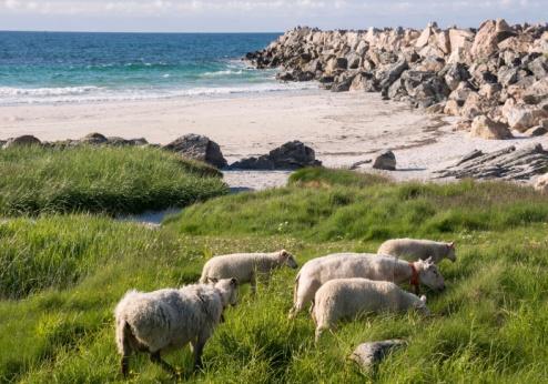Andenes, Noorwegen