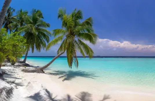 Malediven strand