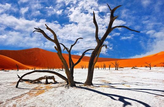 Rode zandduinen Deadvlei Namibie