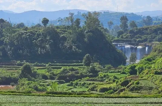 Groene rijstterrassen in de hooglanden van Madagaskar