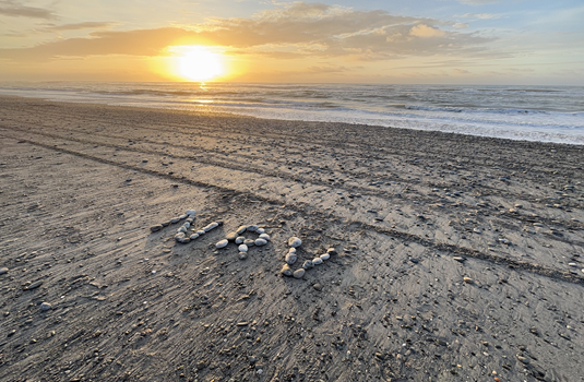 Nieuw-Zeeland strand