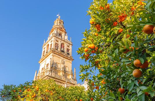 Andalusië Spanje