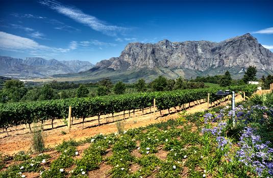 Tuinroute Zuid-Afrika