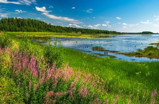 Zomer in Zweden