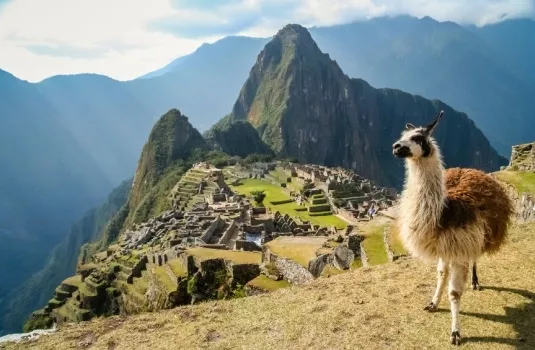Peru Machu Picchu lama
