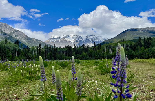 West-Canada landschap