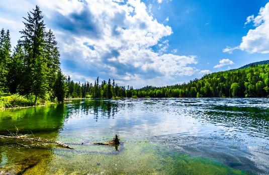 Clearwater in Wells Gray Provincial Park