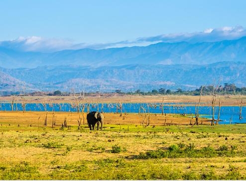 Udawalawe Nationaal Park