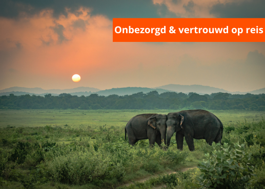 individuele rondreizen homepage