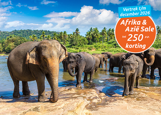 Afrika & Azië Sale HP