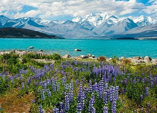 Nieuw-Zeeland Lake Tekapo