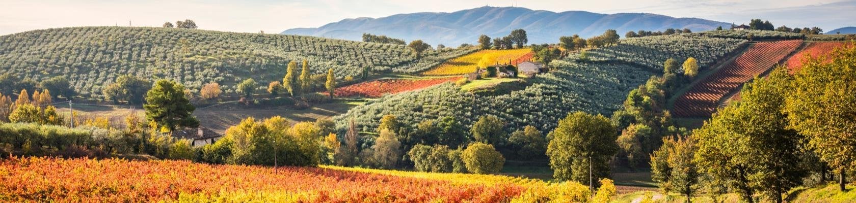 Montefalco