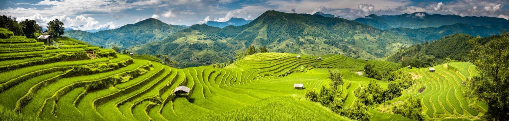 Sapa