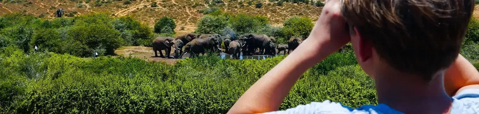 Familiereis Zuid-Afrika