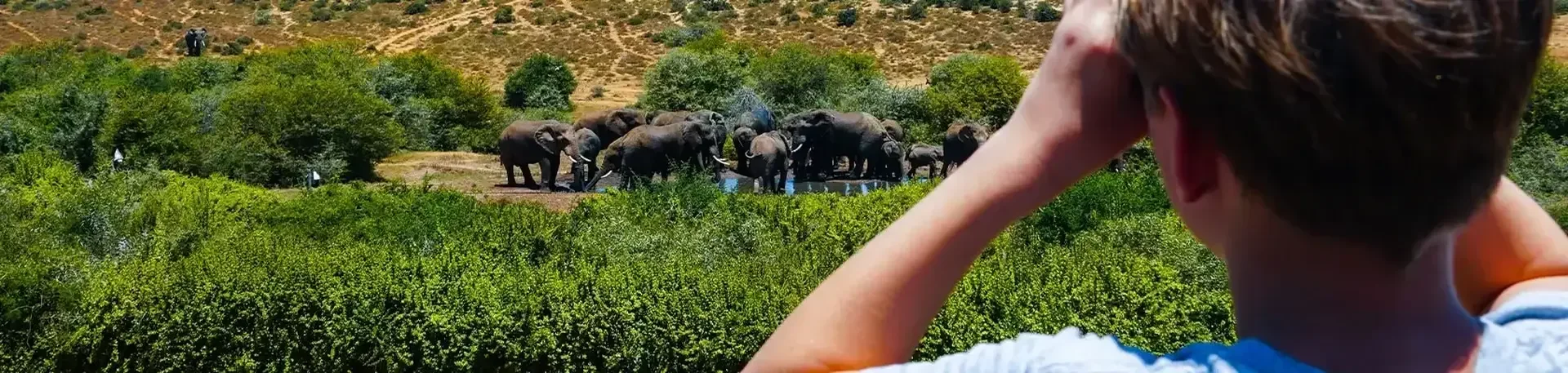 Familiereis Zuid-Afrika
