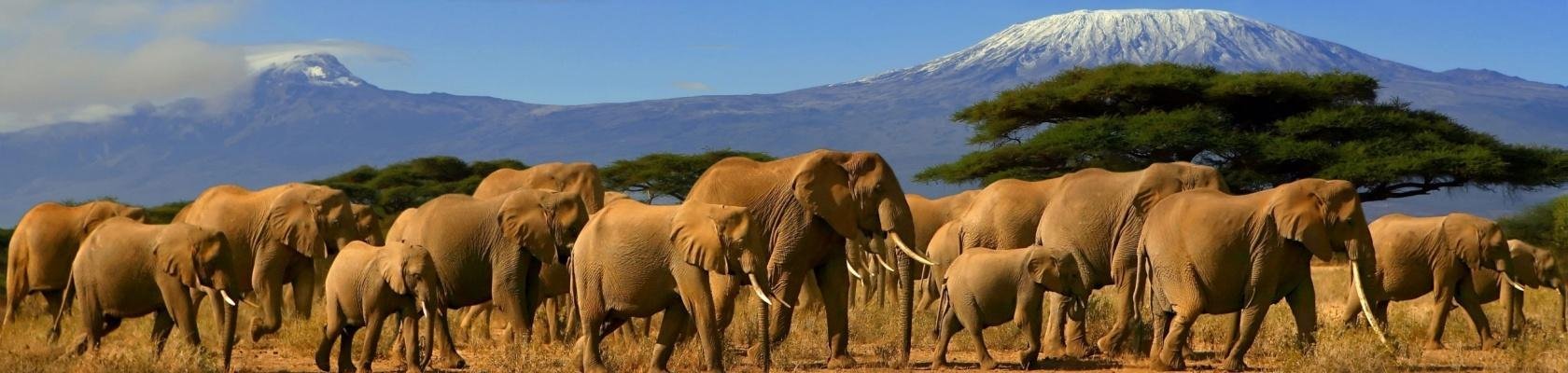 17-daagse rondreis Kenia Compleet
