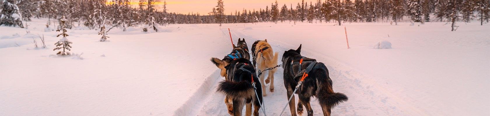 Lapland