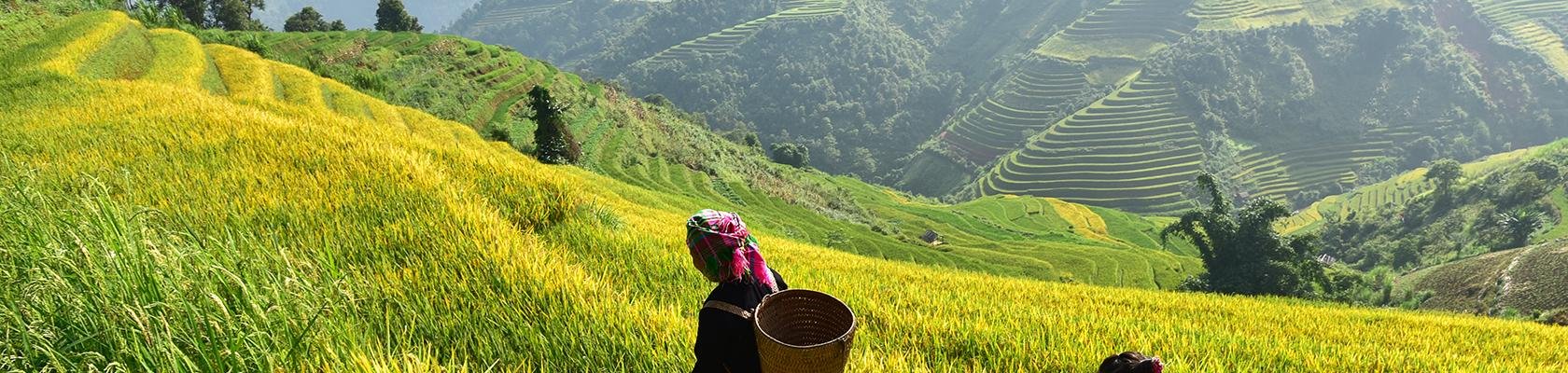 Bergstammen bij Sapa in Vietnam