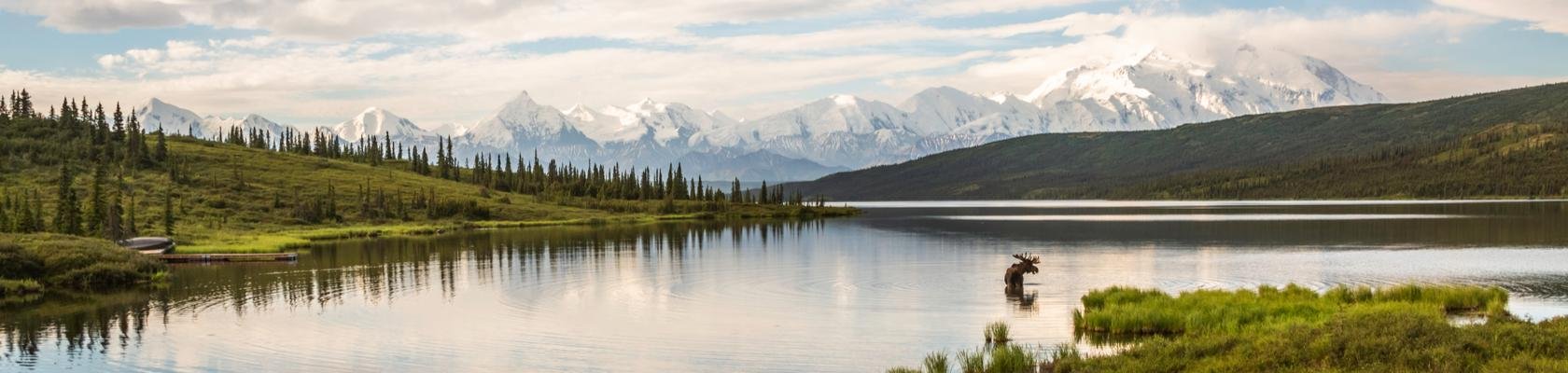 Denali Nationaal Park