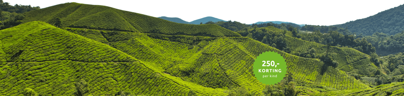 Cameron Highlands
