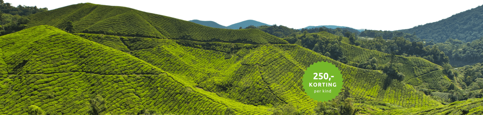 Cameron Highlands
