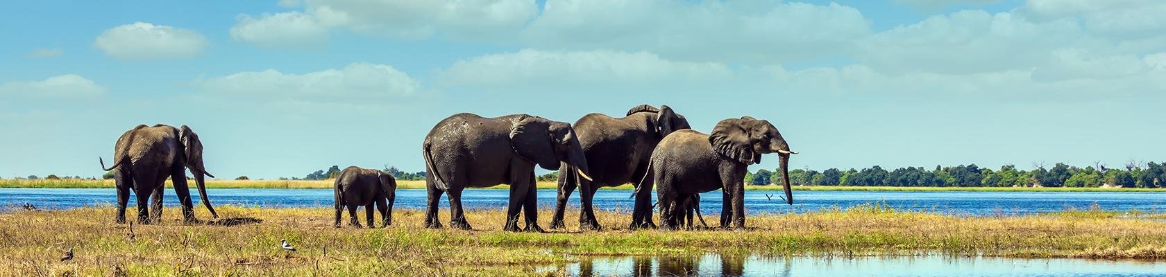 Chobe Nationaal Park (Botswana)