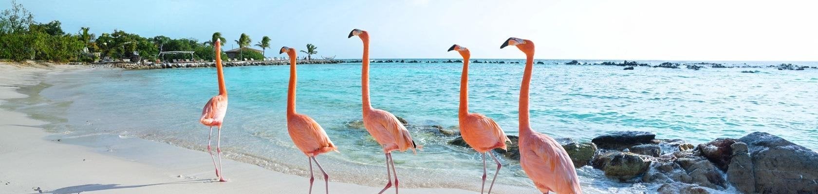Aruba