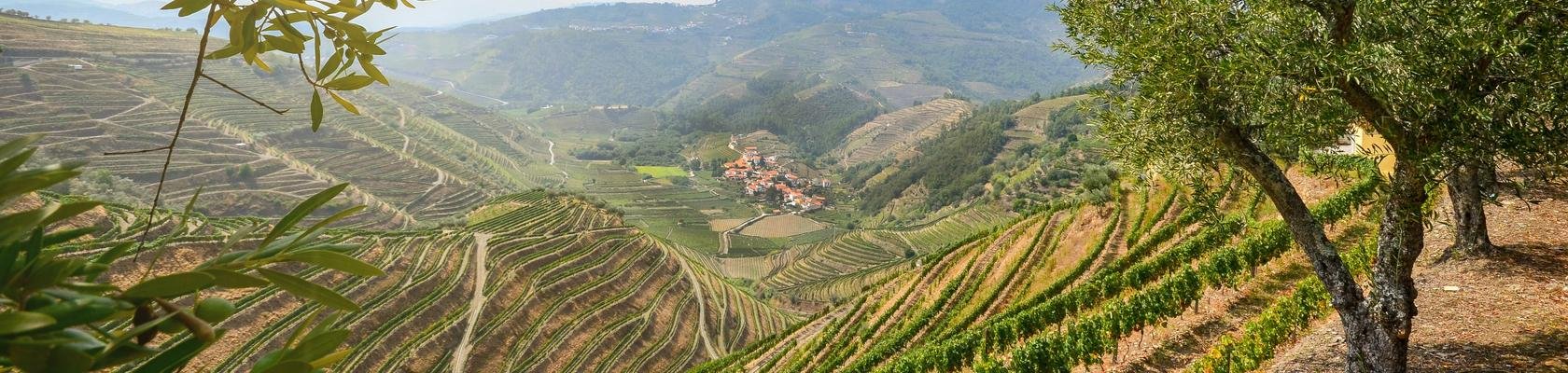 De Douro vallei bij Lamego