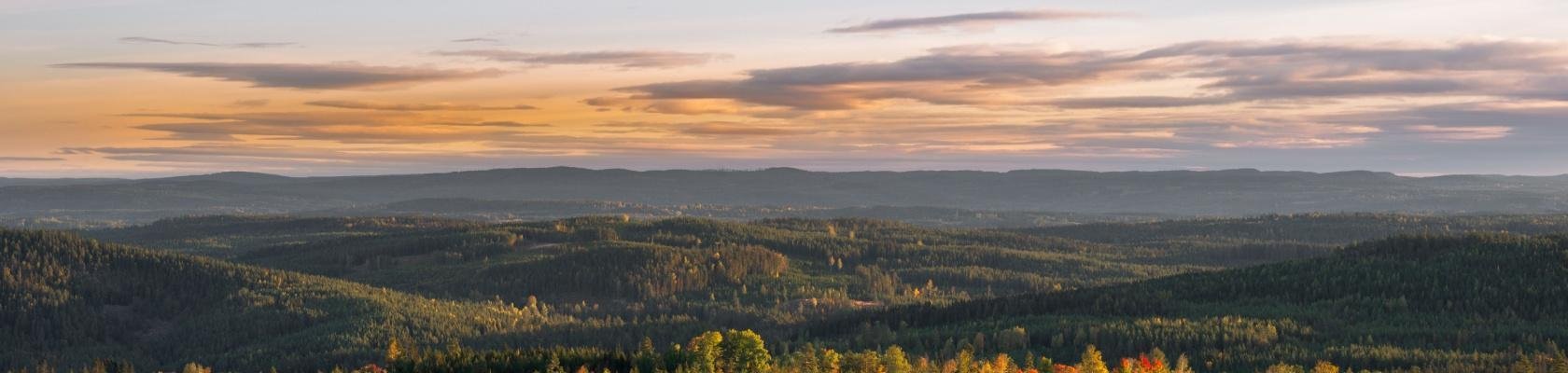 Omgeving Dalarna