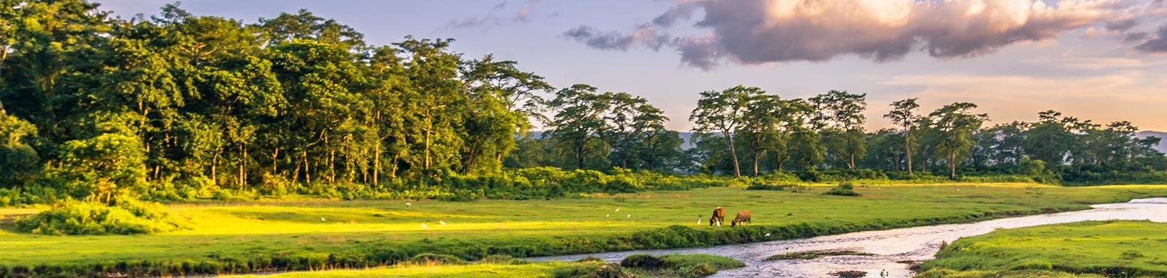 Chitwan Nationaal Park (Nepal)