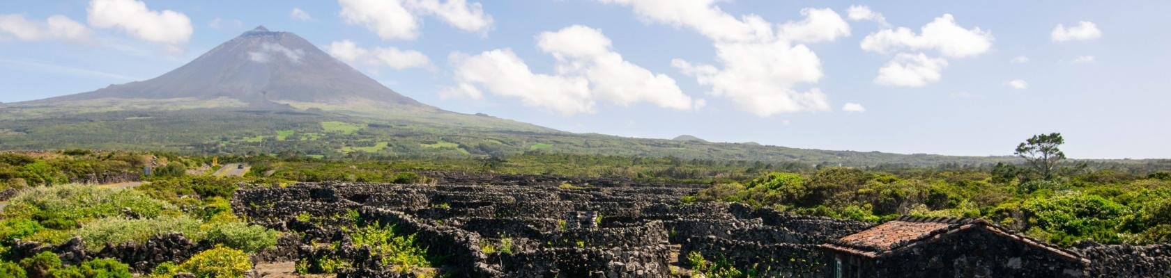 Ponta do Pico, Pico