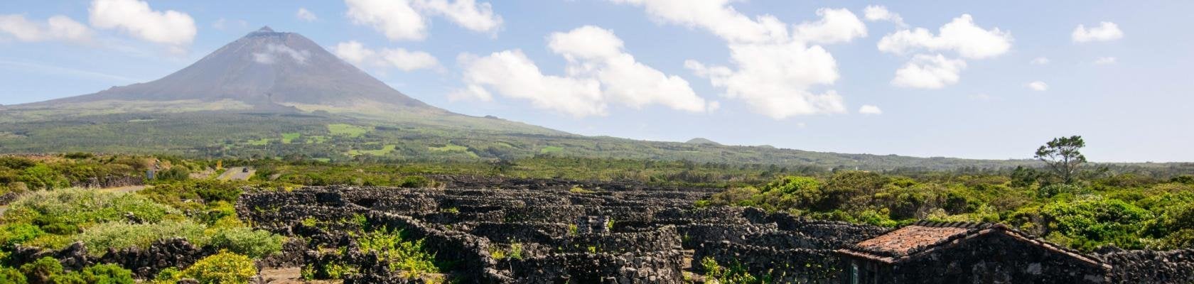 Ponta do Pico, Pico