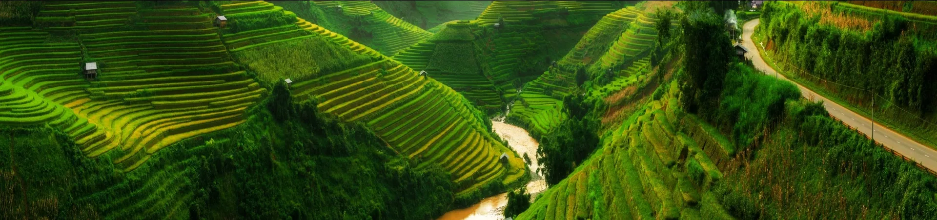 Vietnam Sapa Rijstvelden NRV Rondreizen