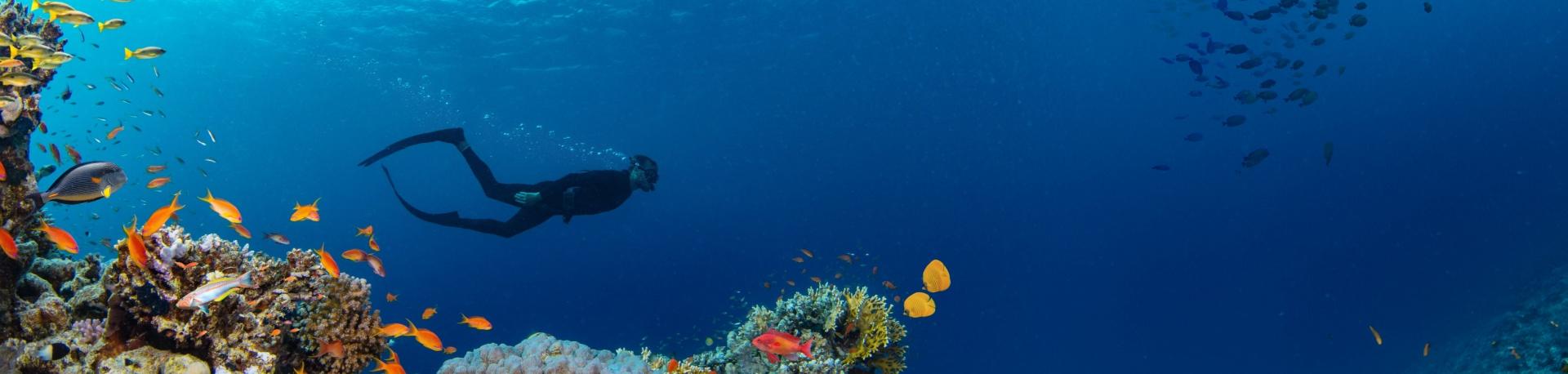Tips snorkelen & duiken
