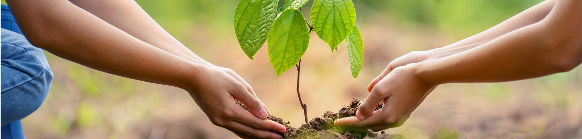 Samenwerking NRV en Regreener