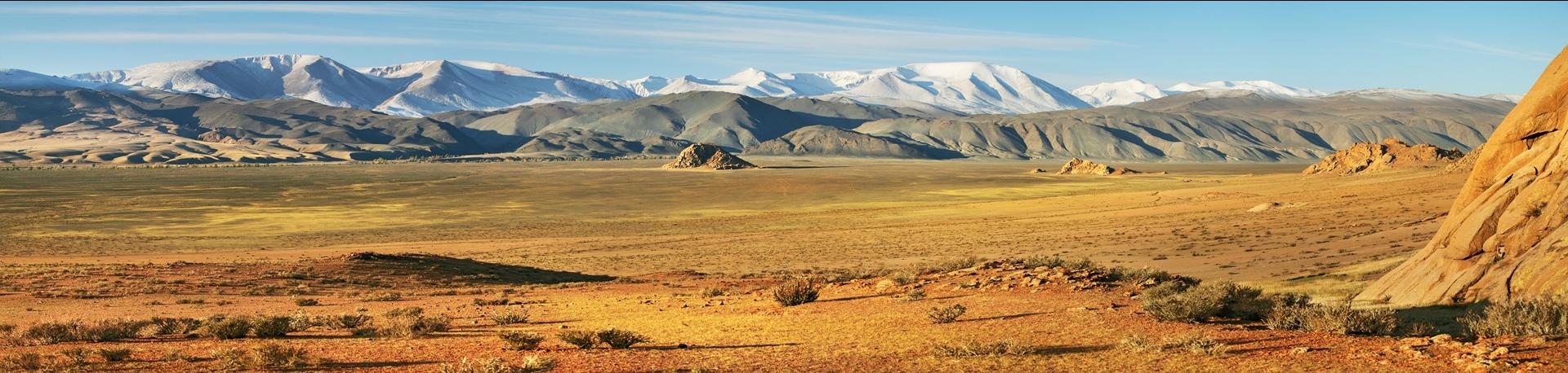 Mongolië, Steppe