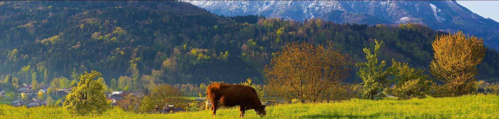 Oostenrijk, landschap