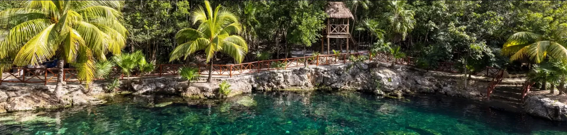 Mexico cenote Casa Tortuga