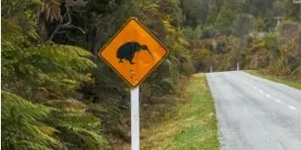 Verkeersbord met waarschuwing voor kiwi vogels langs landelijke weg in Nieuw-Zeeland
