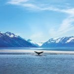 Glacier Bay, Alaska