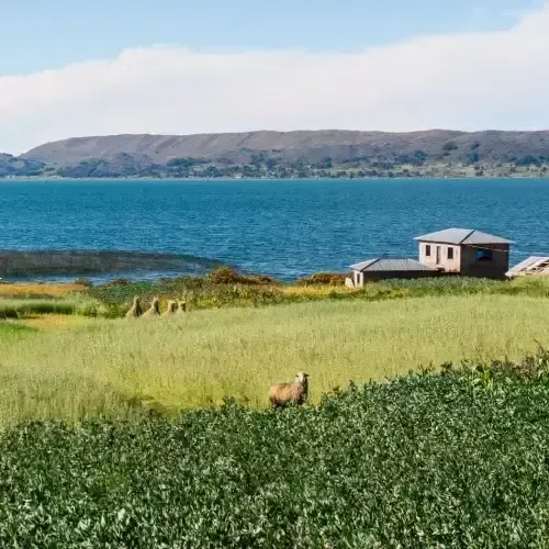Het platteland van de Luquina-gemeenschap