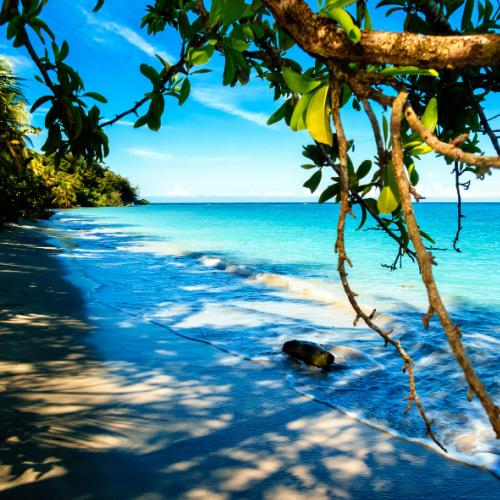Cahuita aan de Caribische kust